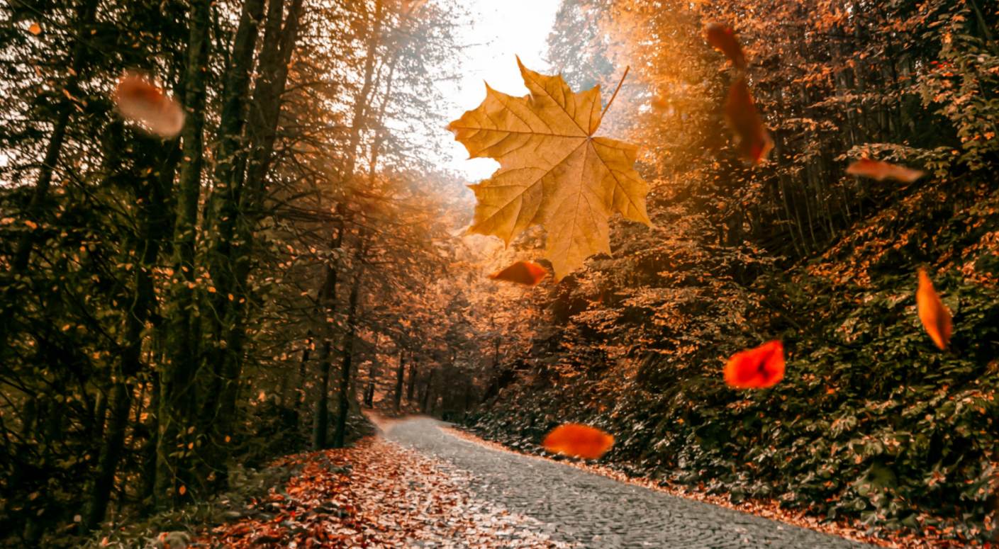 fall season